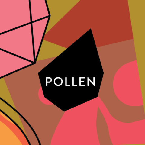 Pollen Features