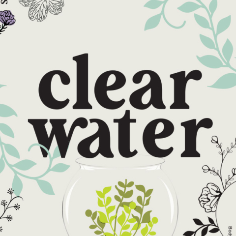 Preorder: Clear Water Book